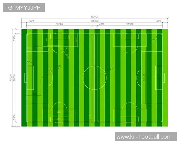探讨某长方形足球场的周长计算方法及其在实际场地设计中的应用 探讨某长方形足球场的周长计算方法及其在实际场地设计中的应用